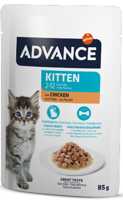 Advance Cat Kitten Chicken | Wet (Saqueta)
