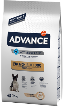 Advance Dog Adult French Bulldog