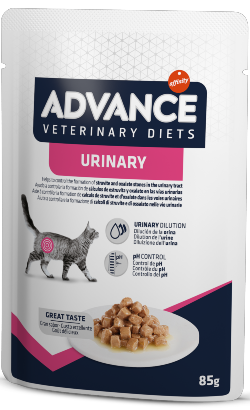 Advance Vet Cat Urinary| Wet (Saqueta)