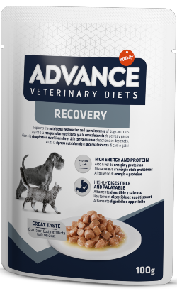 Advance Vet Dog & Cat Recovery | Wet (Saqueta)