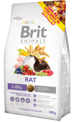 Brit Animals Rat Brit Animals Rat