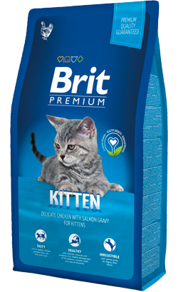 Brit Blue Kitten Chicken
