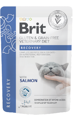 Brit Veterinary Diet Cat Recovery Gluten & Grain-Free Salmon in Gravy | Wet (Saqueta)