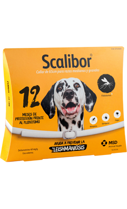 Coleira Scalibor 65 cm para cão Coleira Scalibor 65 cm para cão - Saúde para Cães