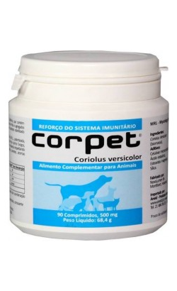 Corpet Coriolus Versicolor Corpet Coriolus Versicolor