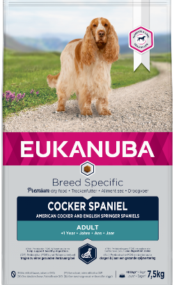 Eukanuba Adult Cocker Spaniel