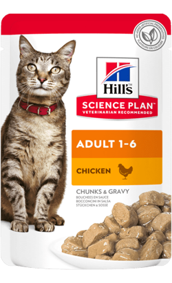 Hills Science Plan Adult Cat with Chicken | Wet (Saqueta)
