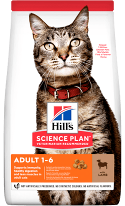 Hills Science Plan Adult Cat with Lamb