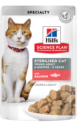 Hills Science Plan Adult Sterilised Cat Young Adult with Salmon | Wet (Saqueta)