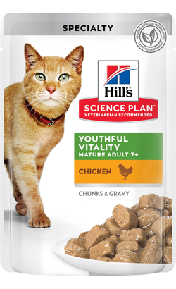 Hills Science Plan Cat Mature Adult 7+ with Chicken | Wet (Saqueta)