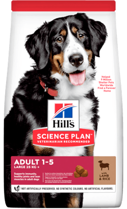 Hills Science Plan Dog Adult Large Breed with Lamb & Rice