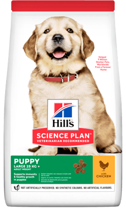 Hills Science Plan Puppy Large Breed with Chicken