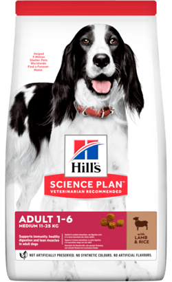 Hills Science Plan Dog Medium Adult with Lamb & Rice