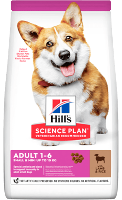 Hills Science Plan Dog Small & Mini Adult with Lamb & Rice