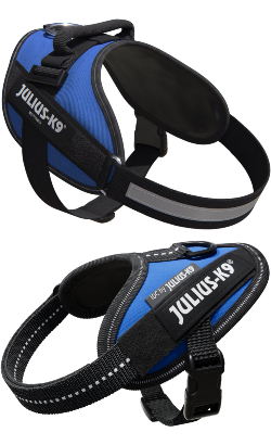 Julius-K9 IDC Powerharness | Azul