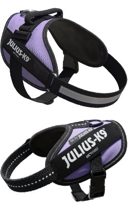 Julius-K9 IDC Powerharness | Roxo