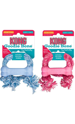 Kong Goodie Bone Puppy X-Small