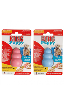 Kong Puppy | Cores Sortidas