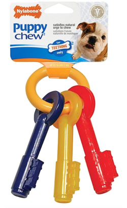 Nylabone Dog Chaves XS para Dentição