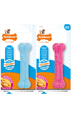 Nylabone Puppy Teething Chew Dental XS