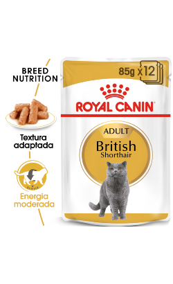 Royal Canin Cat British Shorthair Adult | Wet (Saqueta)