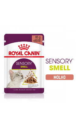 Royal Canin Cat Sensory Smell in Gravy | Wet (Saqueta)