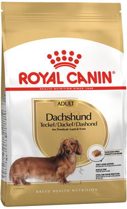 Royal Canin Dog Dachshund Adult