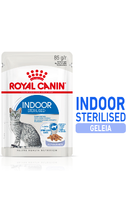 Royal Canin Cat Indoor in Jelly | Wet (Saqueta)