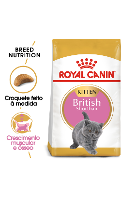 Royal Canin Cat Kitten British Shorthair