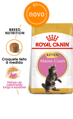 Royal Canin Cat Kitten Maine Coon