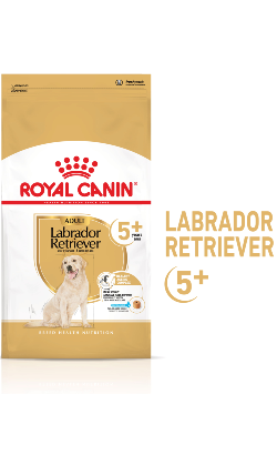 Royal Canin Labrador Ageing 5+