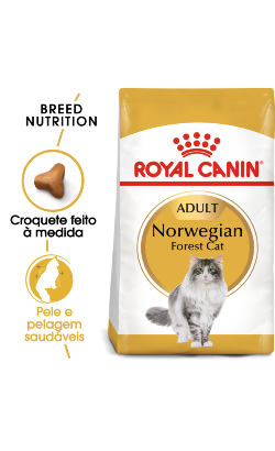 Royal Canin Cat Norwegian Forest Adult