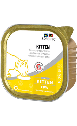 Specific FPW Kitten | Wet (Terrina)