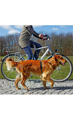 Trixie Bicycle and Jogging Leash