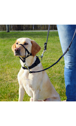 Açaime para cão Trixie Top Trainer Training Harness Açaime para cão Trixie Top Trainer Training Harness - Produtos & Acessórios - Coleiras & Trelas para Cães