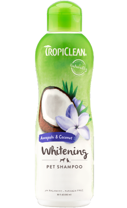 Tropiclean Awapuhi & Coconut Shampoo