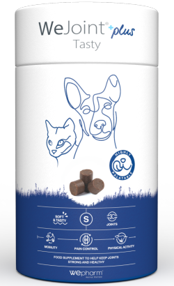 WeJoint Plus Tasty | Raças Pequenas e Gatos WeJoint Plus Tasty | Raças Pequenas e Gatos