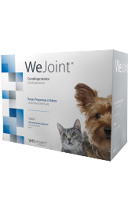 WeJoint | Raças Pequenas e Gatos