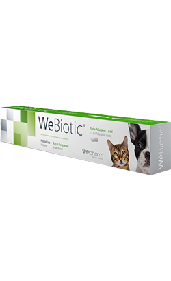 Webiotic FAST | Raças Pequenas e Gatos