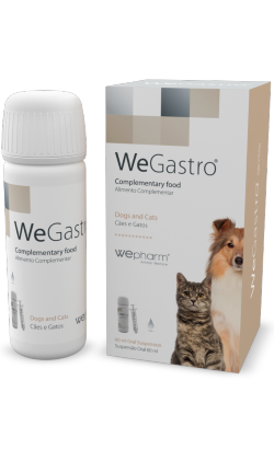 WeGastro